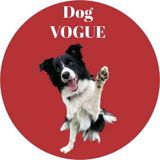 Логотип voguedog