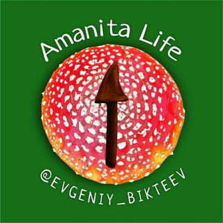 Логотип канала amanita_life