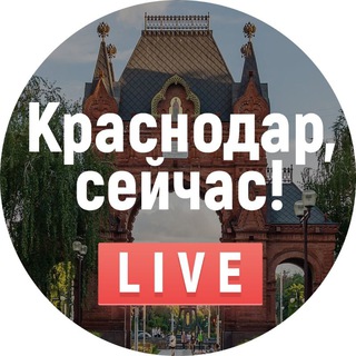 Логотип канала krdsey