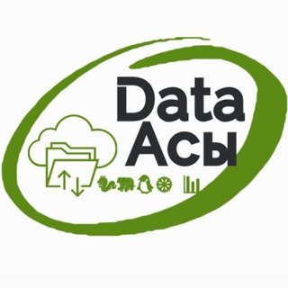 Логотип канала data_asy