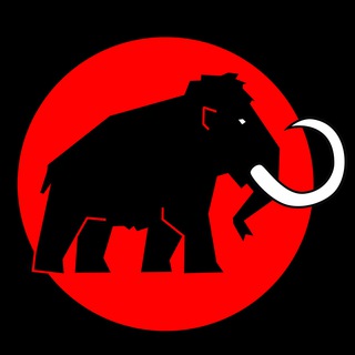 Логотип канала mammothmind