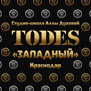 Логотип канала todeskrasnodarzapad