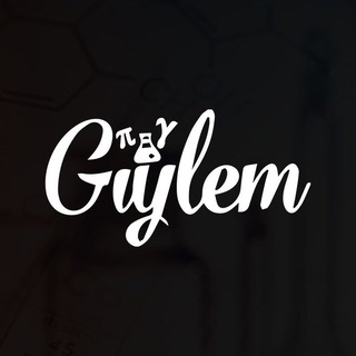 Логотип gylem