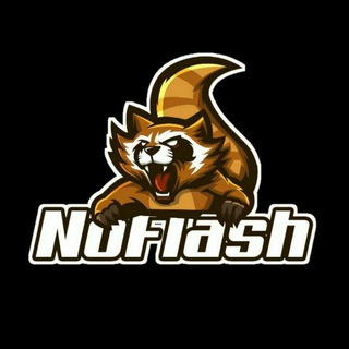 Логотип nflash_official