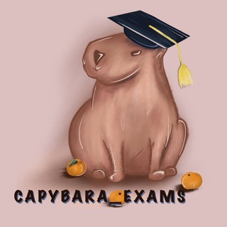 Логотип канала capybara_exams