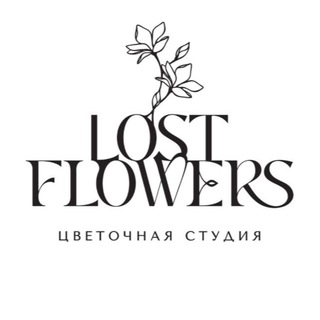 Логотип канала lost_flow