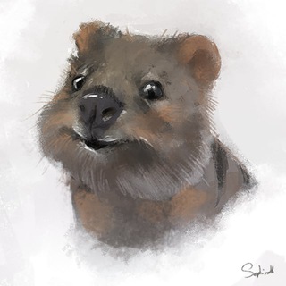 Логотип канала quokkastranslates