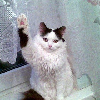 Логотип канала painfullyyours