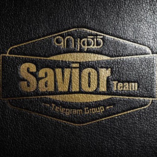 Логотип saviour_team