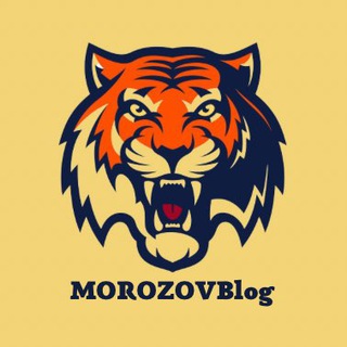 Логотип канала blogmorozova