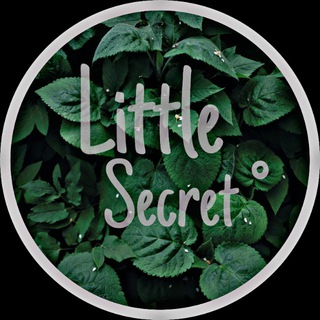 Логотип littlesecretsl