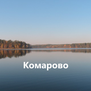 Логотип канала komarovospb