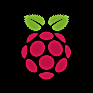 Логотип канала pi_raspberry