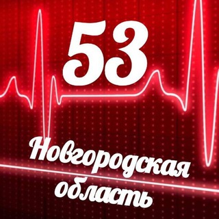 Логотип monitoring_53