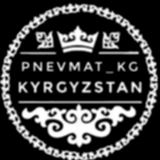 Логотип канала pnevmat_kg