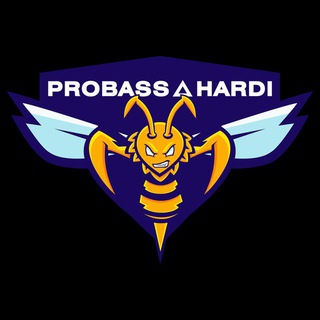 Логотип probass_hardi