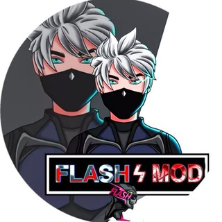 Логотип flash_mod