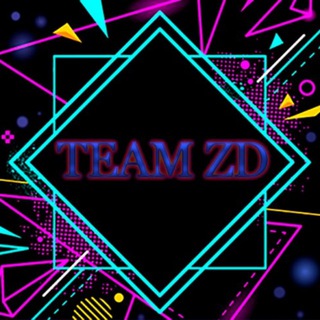 Логотип канала team_zd22