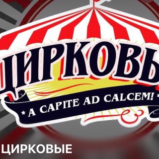 Логотип канала cirkovye