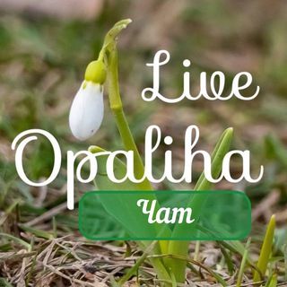 Логотип opaliha_live