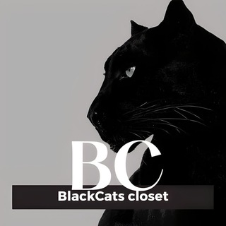 Логотип канала blackcatsdrop