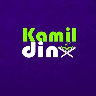 Логотип kamil_din