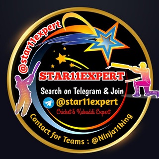 Логотип канала star11expert