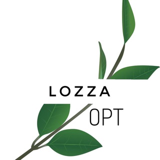 Логотип канала lozza_opt