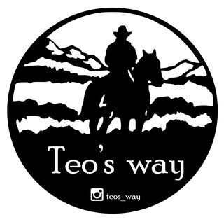 Логотип teosway