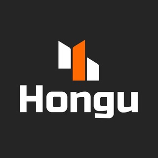 Логотип electromobili_hongu