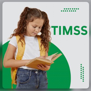 Логотип timss1