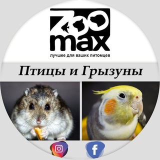 Логотип канала zoomax_birds_rodents