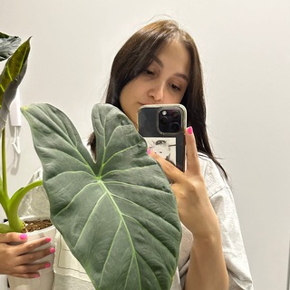 Логотип канала mariya_plants