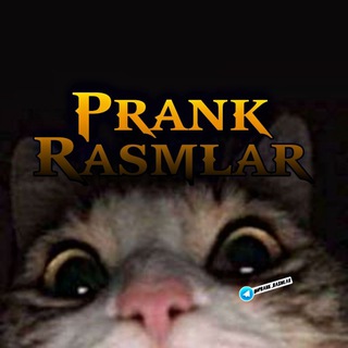 Логотип канала prank_rasmlar