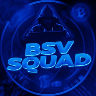 Логотип канала bsv_squad