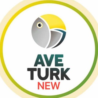 Логотип канала aveturktv