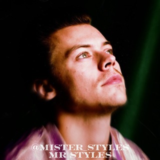 Логотип mister_styles