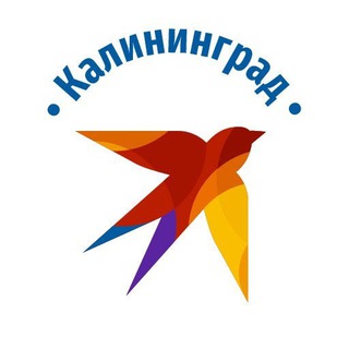 Логотип канала kpkld