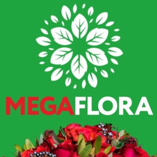 Логотип канала megaflora31