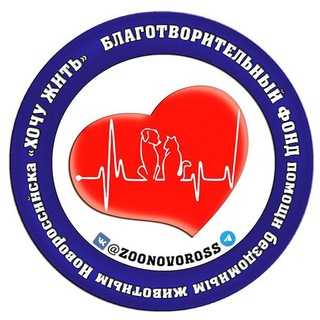 Логотип канала zoonovoross