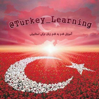 Логотип turkey_learning