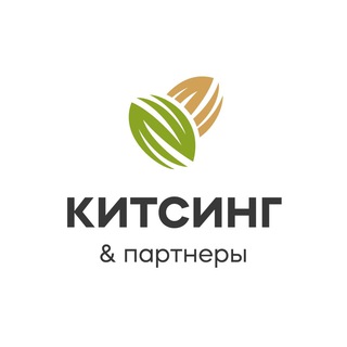 Логотип kitsingandpartners