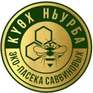 Логотип paseka_savvinov_kyox_nurba