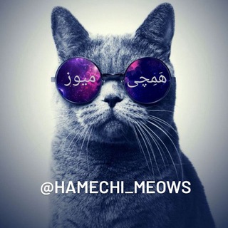 Логотип канала hamechi_meows