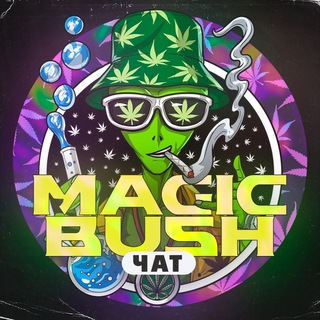 Логотип канала magicbushchat