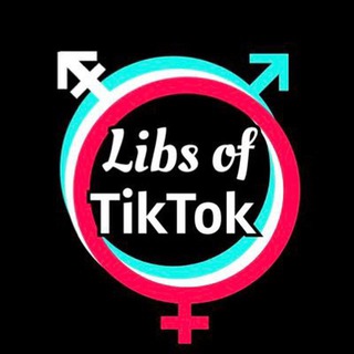 Логотип канала libsoftiktok