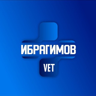 Логотип канала ibragimov_vet