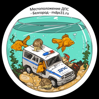 Логотип канала mdpsbelgorod