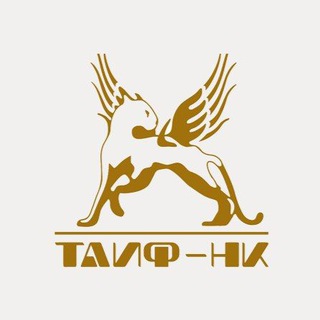 Логотип канала taifnk1