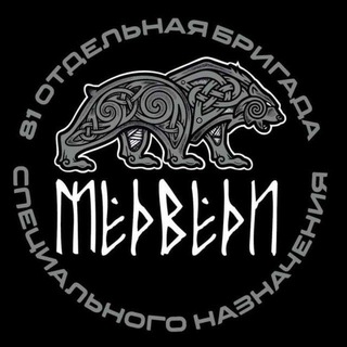 Логотип канала obrspnbears